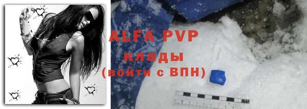 гашик Абинск