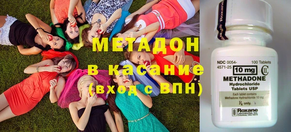 прущие грибы Алзамай