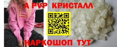 гашик Моздок