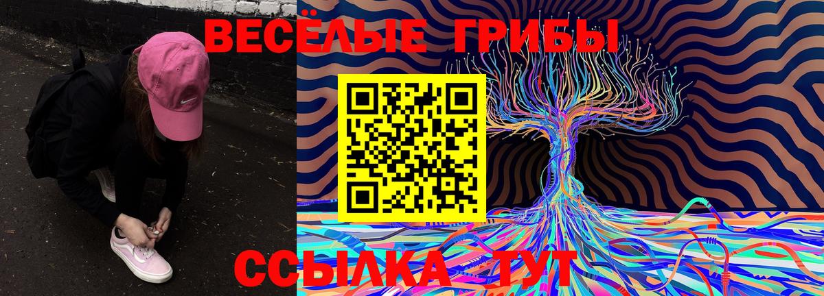 Оренбург  как найти   Псилоцибиновые грибы Psilocybine cubensis  Вход с VPN  Галлюциногенные грибы MAGIC MUSHROOMS 