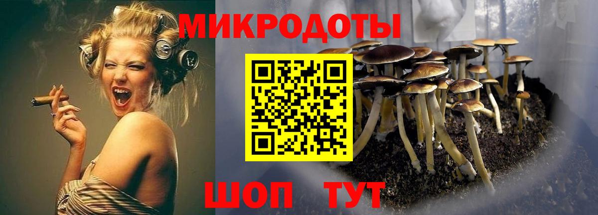 Псилоцибиновые грибы MAGIC MUSHROOMS Оренбург