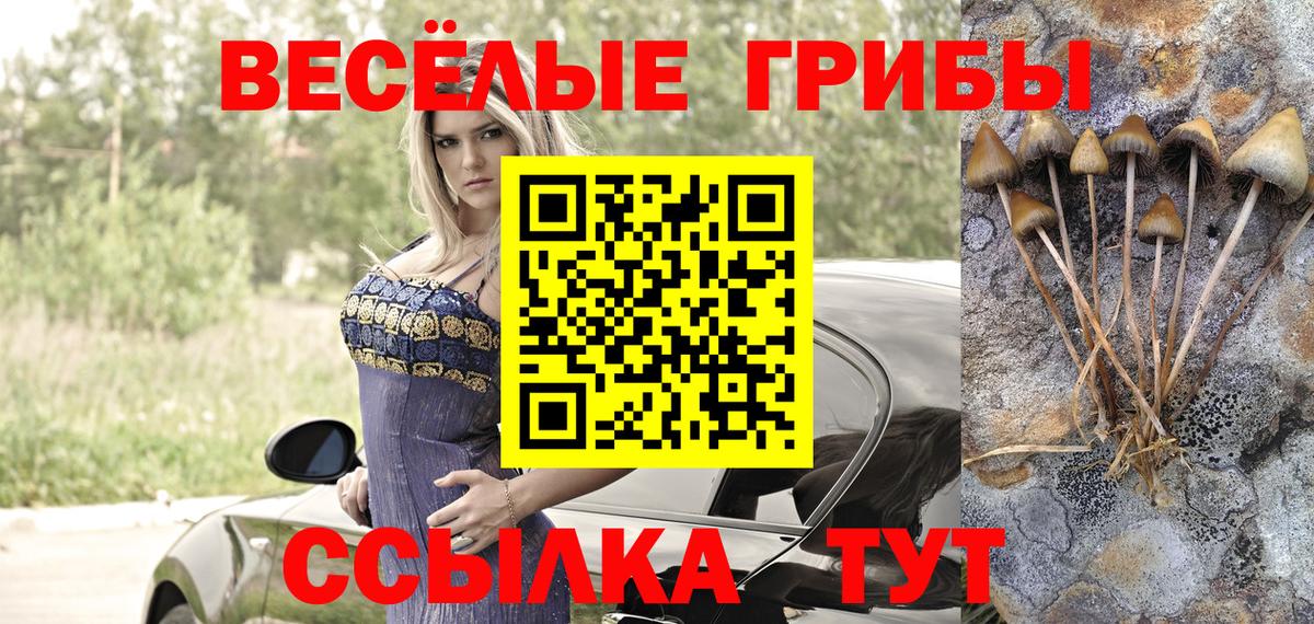 Галлюциногенные грибы мухоморы  Вход с VPN  магазин    Оренбург 